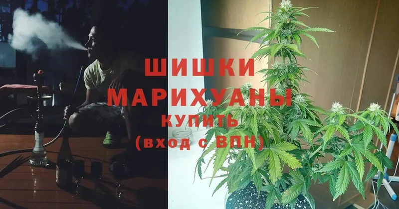 мега онион  Новая Ляля  Бошки марихуана SATIVA & INDICA 